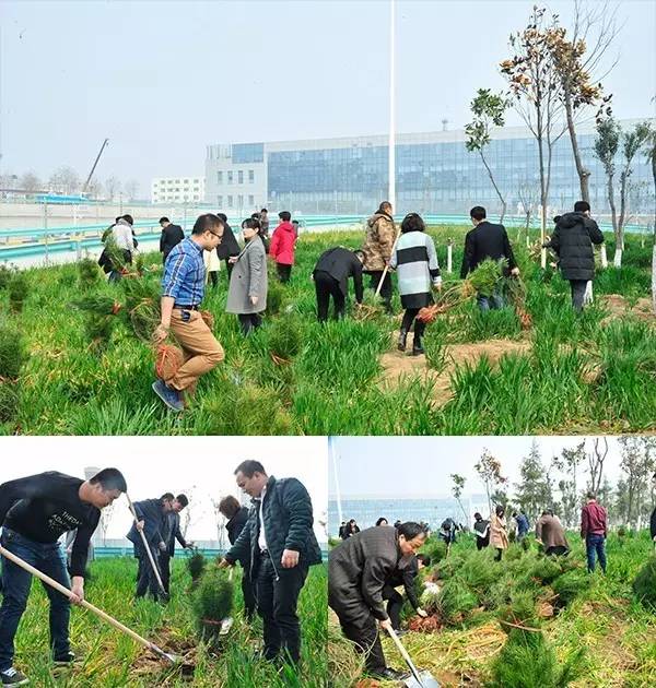 镜看"染绿绘彩"实景画卷:植树花絮