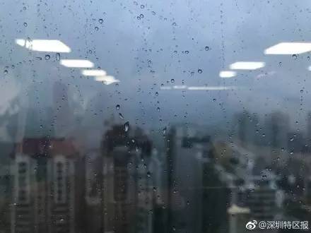 今早的深圳狂风 暴雨!萧敬腾你在哪里?