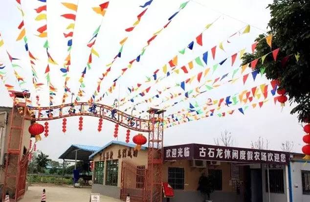 这里是位于惠州博罗观音阁彭村的 「 古石龙农场 gushilong 」 周末
