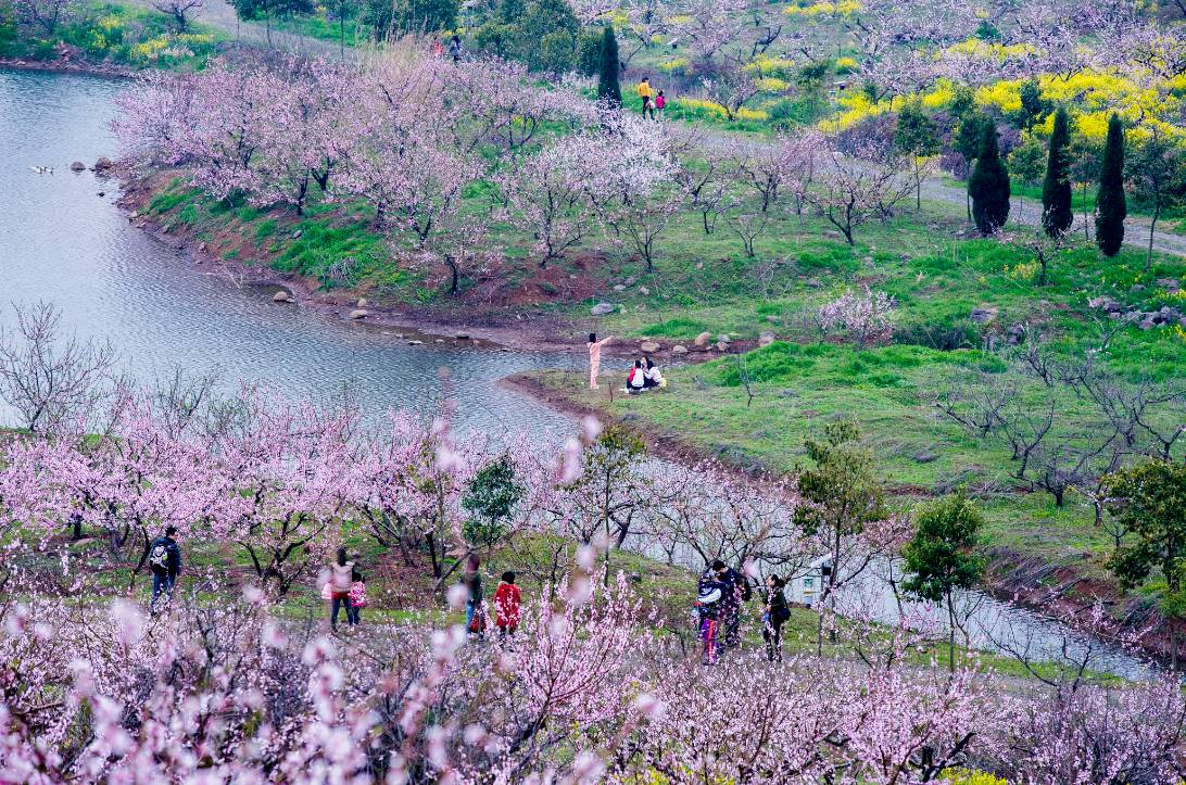 长江四桥—g25长深高速—707县道—701县道—大泉湖路—桃花岛 简介