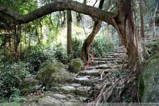 碧岩古道全程穿越弁山,途经碧岩禅寺,摩崖石刻"清空世界"及 "寒泉"