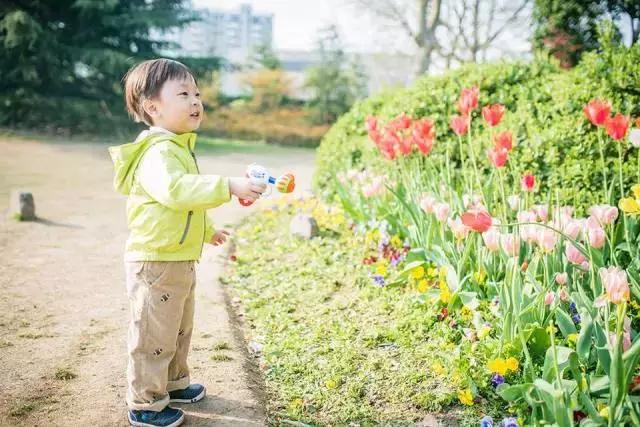 清明节是农历的哪一天?清明节的来历和风俗,清明习俗您了解多少? 扫墓时有什么要注意的？(图4)