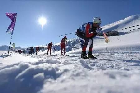 冬奥小科普——越野滑雪