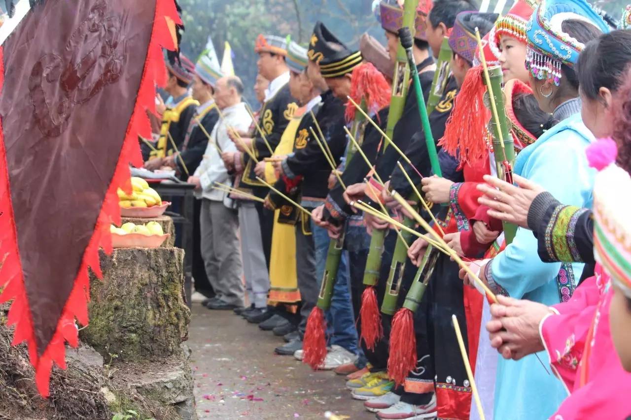 平正仡佬族祭树节带你领略别样的少数民族风情