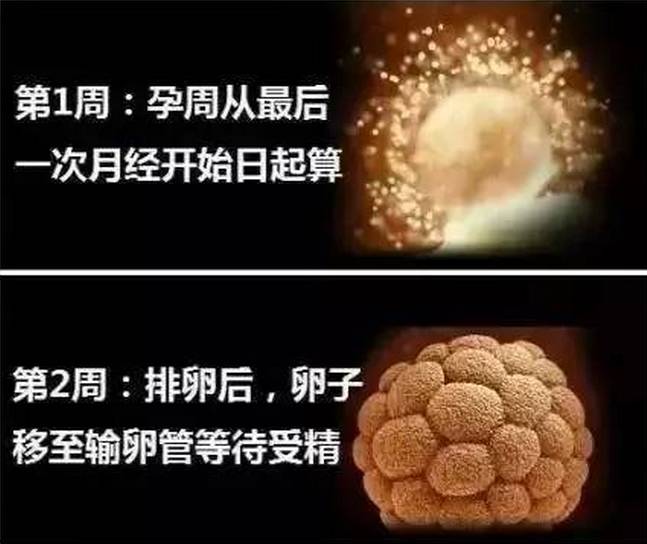 十月怀胎,宝宝在肚子里的时候最怕什么?