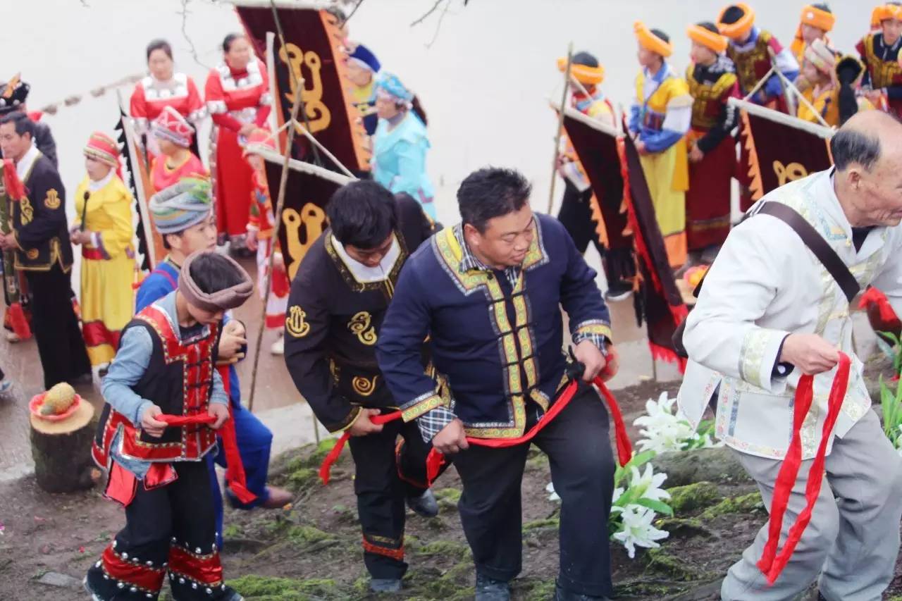 平正仡佬族"祭树节",带你领略别样的少数民族风情!