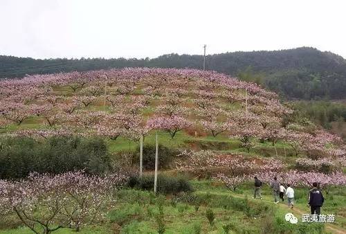 建瓯城区人口_建瓯供电 冒雨全力抢修台风受损线路(3)