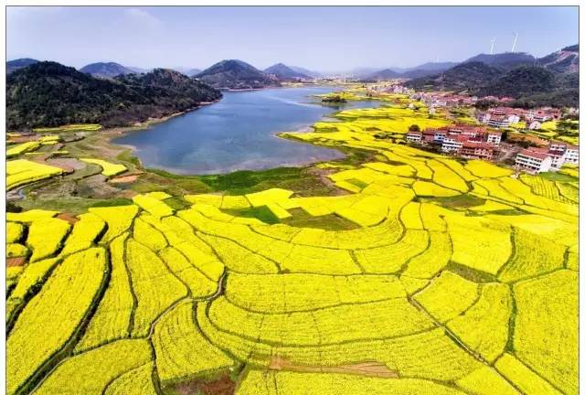 在家朋最佳赏花地点是梅干岭观景台,在这里你可以饱览整个家朋乡的