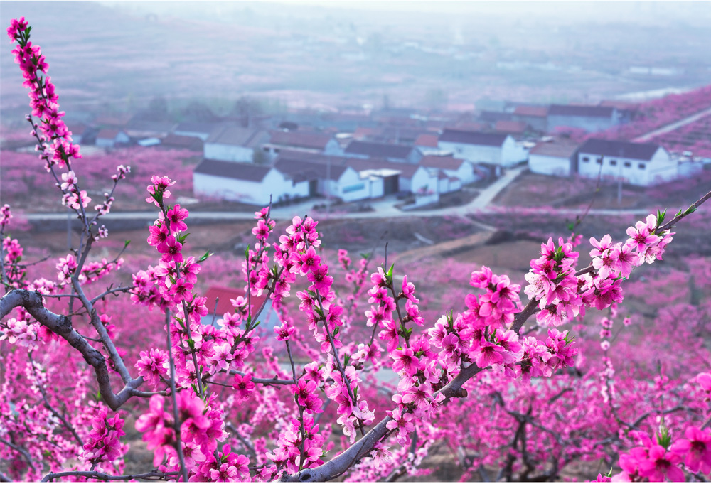 探访中国蒙阴岱崮地貌第十二届桃花旅游节