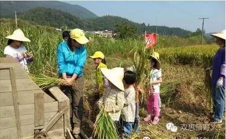 回忆信宜佬80年代的童年生活(劳动篇)