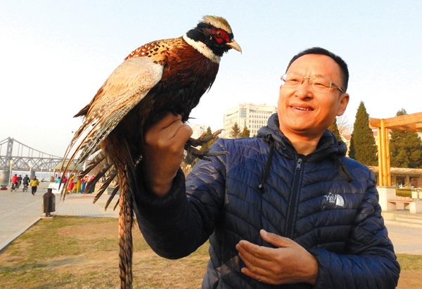 一丹东市民在江边2号码头遛弯时,抓住了一只野鸡,然后.