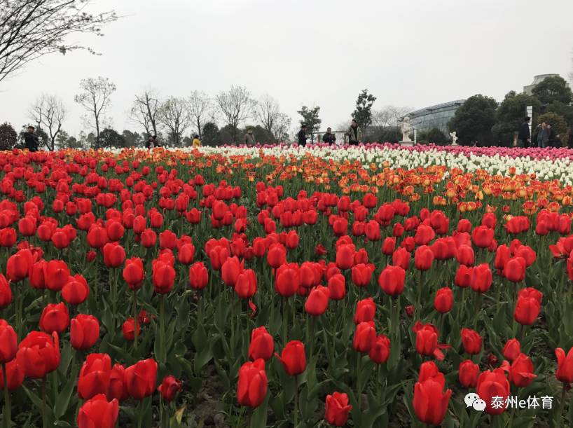 【围观】秋雪湖景区花博园"变身"综合乐园 4月2日全新