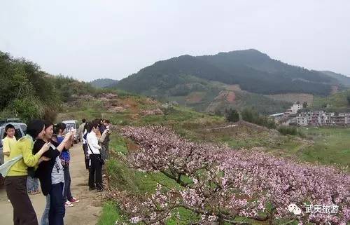 建瓯城区人口_建瓯供电 冒雨全力抢修台风受损线路(3)