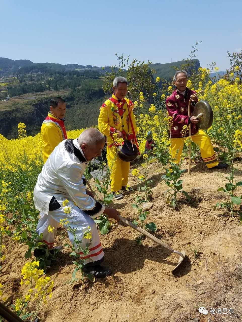 薅草锣鼓△青年歌手陈代珊与山歌王子谭学聪演唱土家情歌《六口茶》