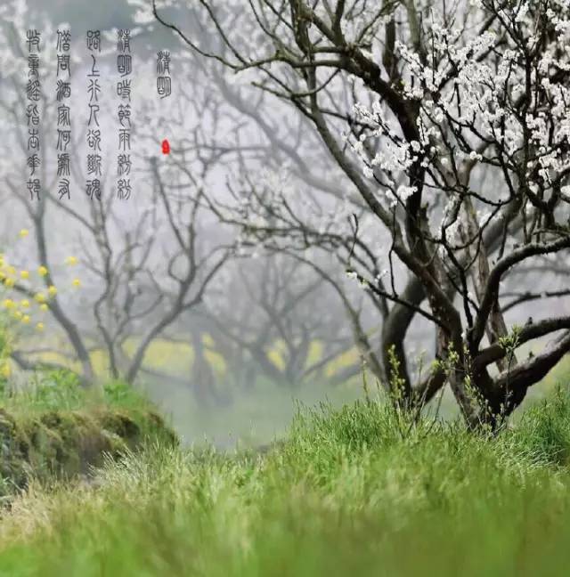 对于身处快节奏都市的我们而言,除了放假休息,清明节还不能少了对已故