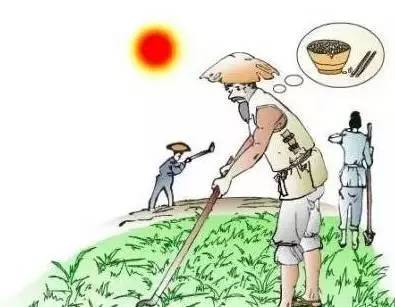 【理解】农民在火辣辣的太阳底下锄地,汗水滴滴嗒嗒地掉在禾苗下的