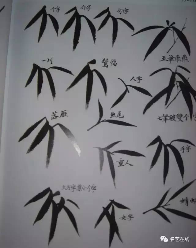 中国画竹子的各种画法