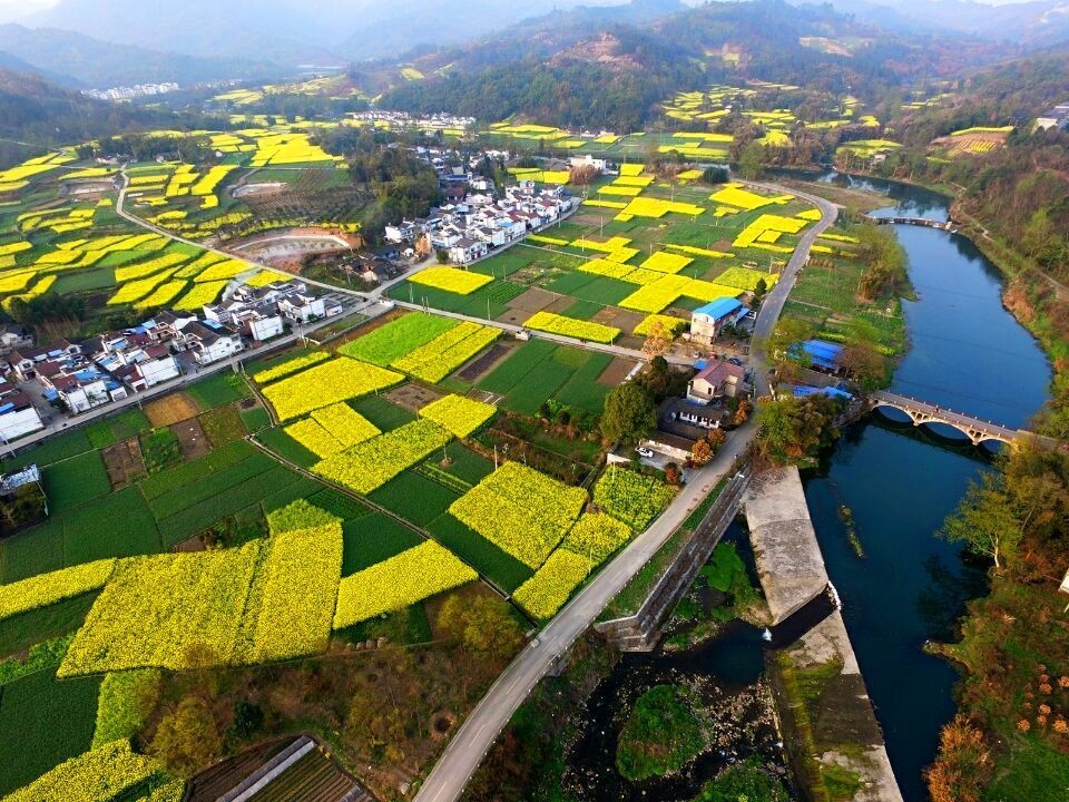 红叶李 郁金香 山樱花 桃花 梨花 丹景山看花灯 第33届成都(彭州)