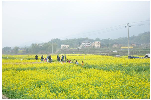 柳暗花明又一村,福州闽侯孔元村