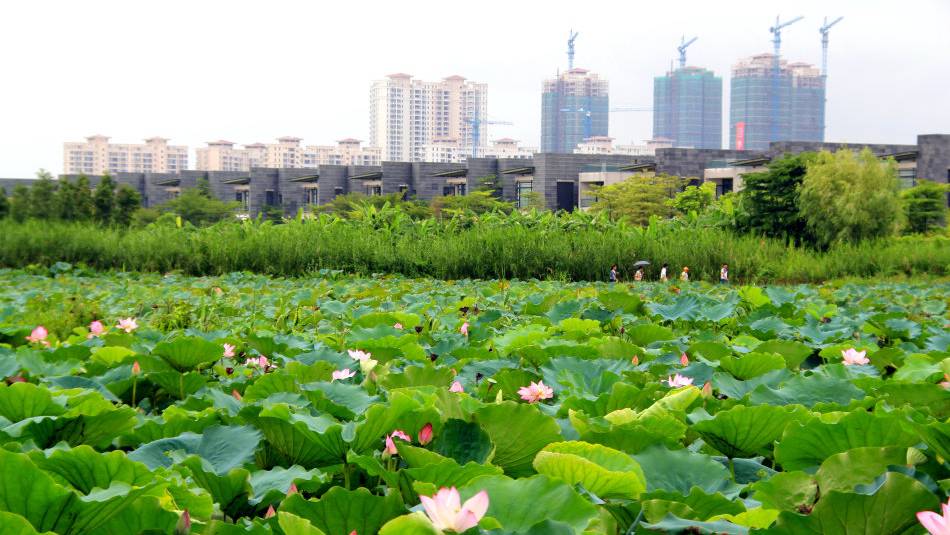 华发水郡省级湿地公园