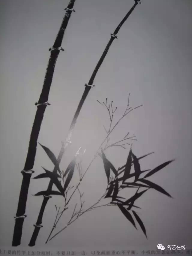 中国画竹子的各种画法