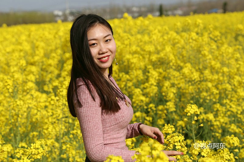 国际学生汉中赏油菜花俄罗斯与重庆美女最养眼