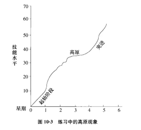 体育运动技能形成原理什么分化_彩虹形成的原理是什么