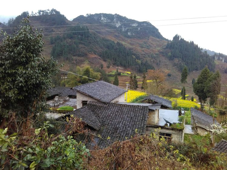 桐梓县大河镇石牛村,是一个奇异的石头王国.