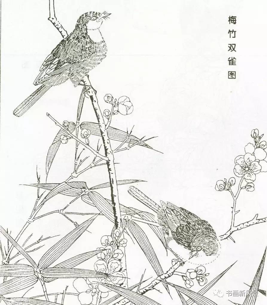 宋代花鸟经典白描画稿,极品收藏!