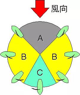 逆风而行的小车是什么原理_小车图片卡通