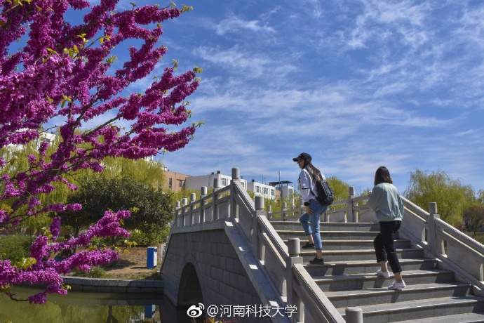 随手拍河南科技大学校园