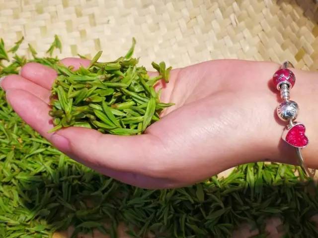 最惦记的那一口龙井春茶,四位茶叶行家告诉你