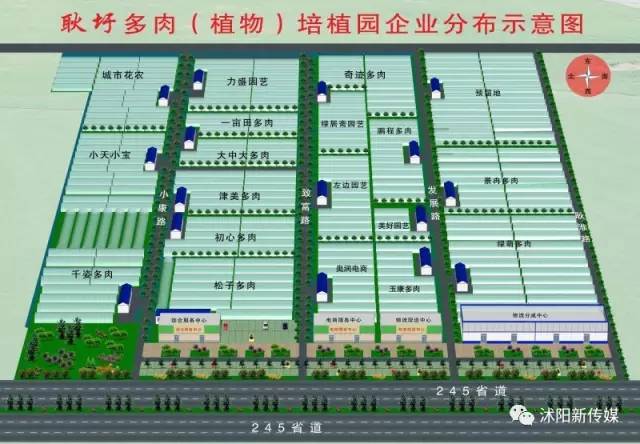 教育 正文    亲近一下大自然吧   ▼            沭阳县耿圩镇省道