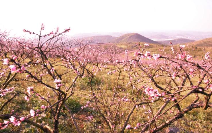 小长假游客"包围"方元桃花溪!