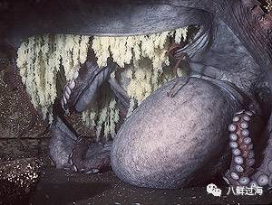 其它 正文  现实存在的太平洋巨型章鱼可没有沼泽巨鱿章那么"巨型"