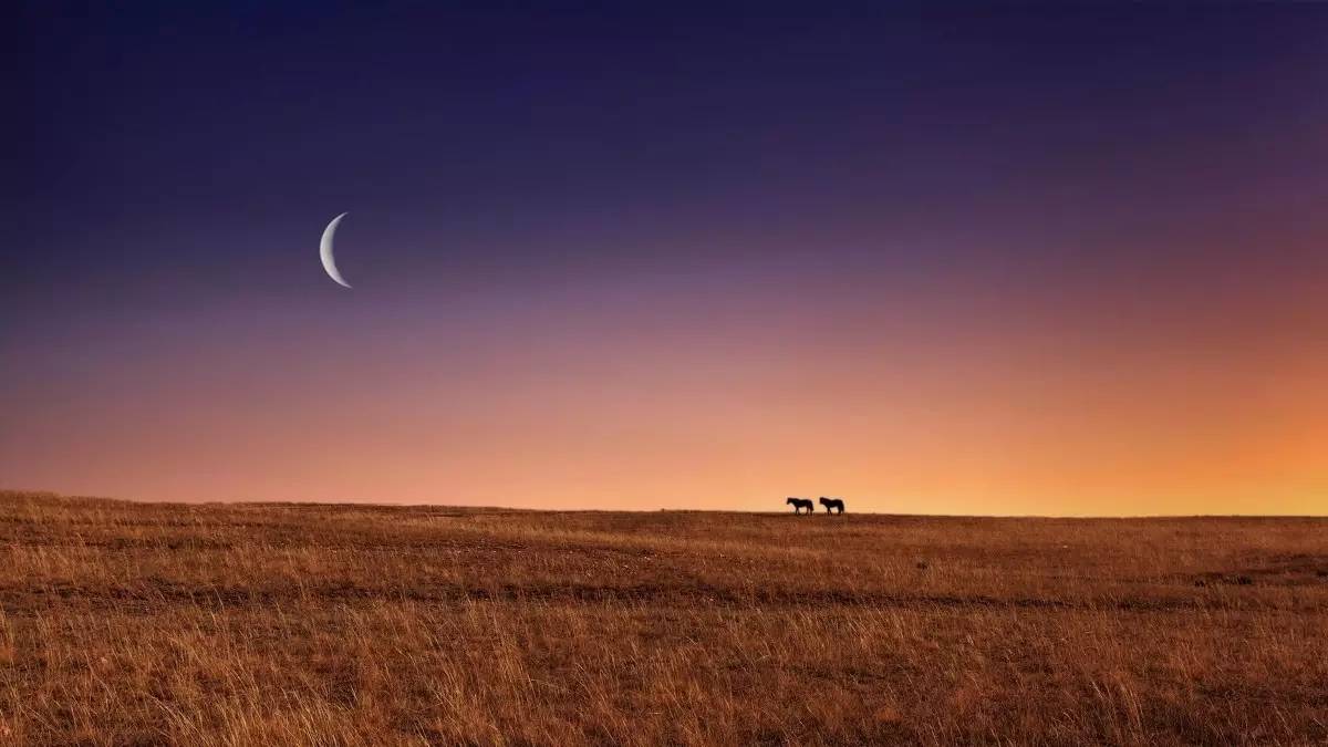 每日一歌草原的月亮