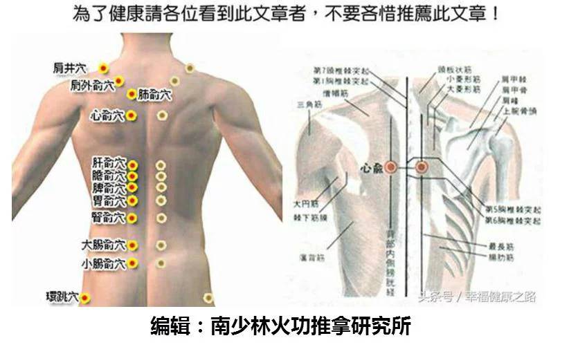 搭背怎么治疗_背上毛曩炎怎么治疗(2)