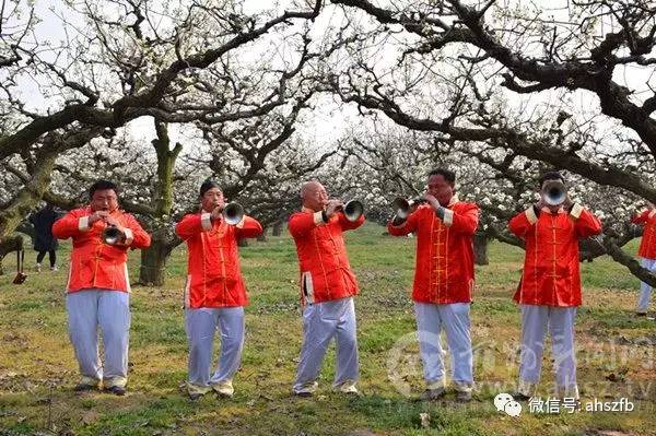 单位配合,景区景点和群众同搭台共唱戏"的办法,举办砀山梨花节开幕式