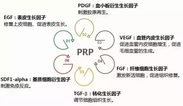 促进人口回流的主要因素是什么_白带是什么图片(3)