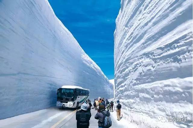 「立山黑部」一年仅开放69天,历尽万难才能到