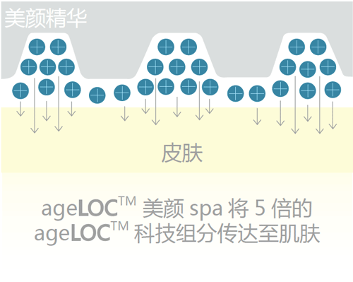 spa的原理是什么_spa是什么东西