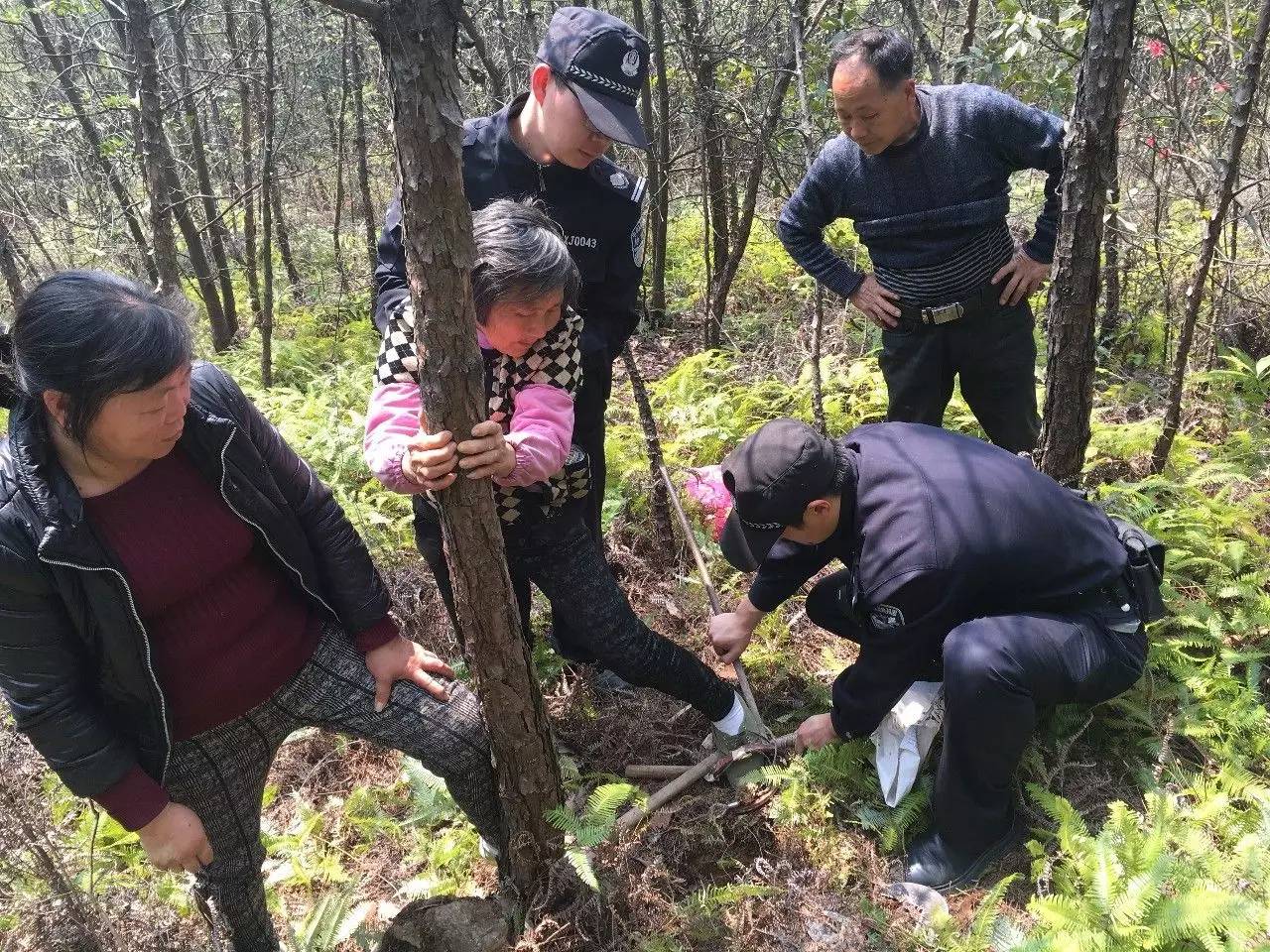 老奶奶上山采药 结果脚被夹住