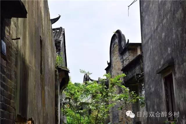 走马双合之泗合村—英雄故里,鹤山大村,云宿大观