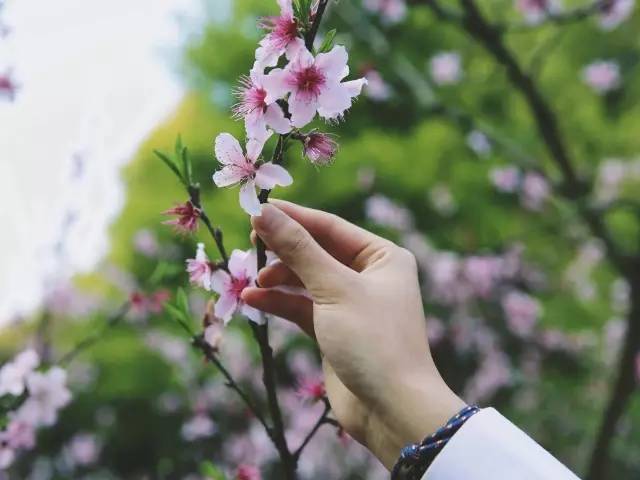 手控福利|你的江中医桃花男神已上线,快来领取吧