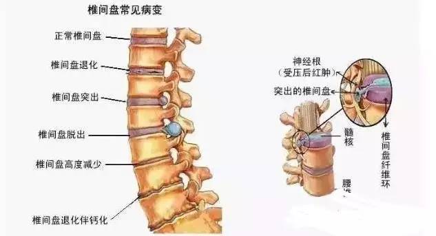 好像没有那么回事似的成语是什么_好像是那么回事图片(2)