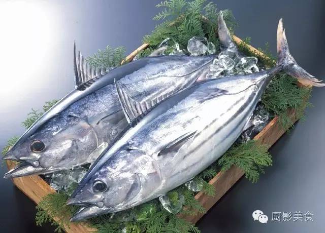 美食 正文 如果问哪一种鱼在日本的历史记载中最悠久,那么毋庸置疑