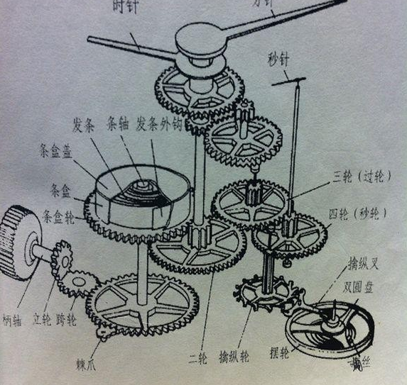 机械手表机芯结构图,全自动机械表结构图