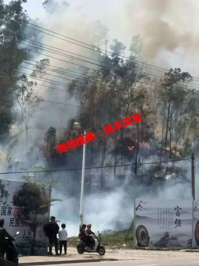 火烧山陆丰这个山头着火了