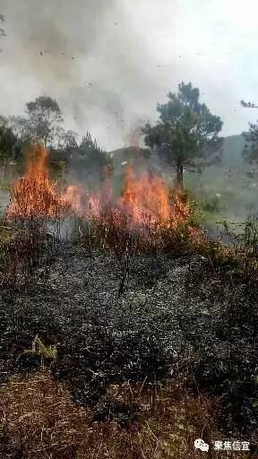 信宜北界清明扫墓多地发生火灾,扫墓引火烧山还坐牢?