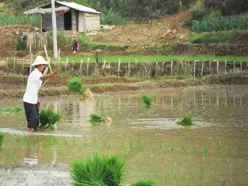 慈利人口_湖南张家界人口最多的四个县区 第一名是慈利(2)